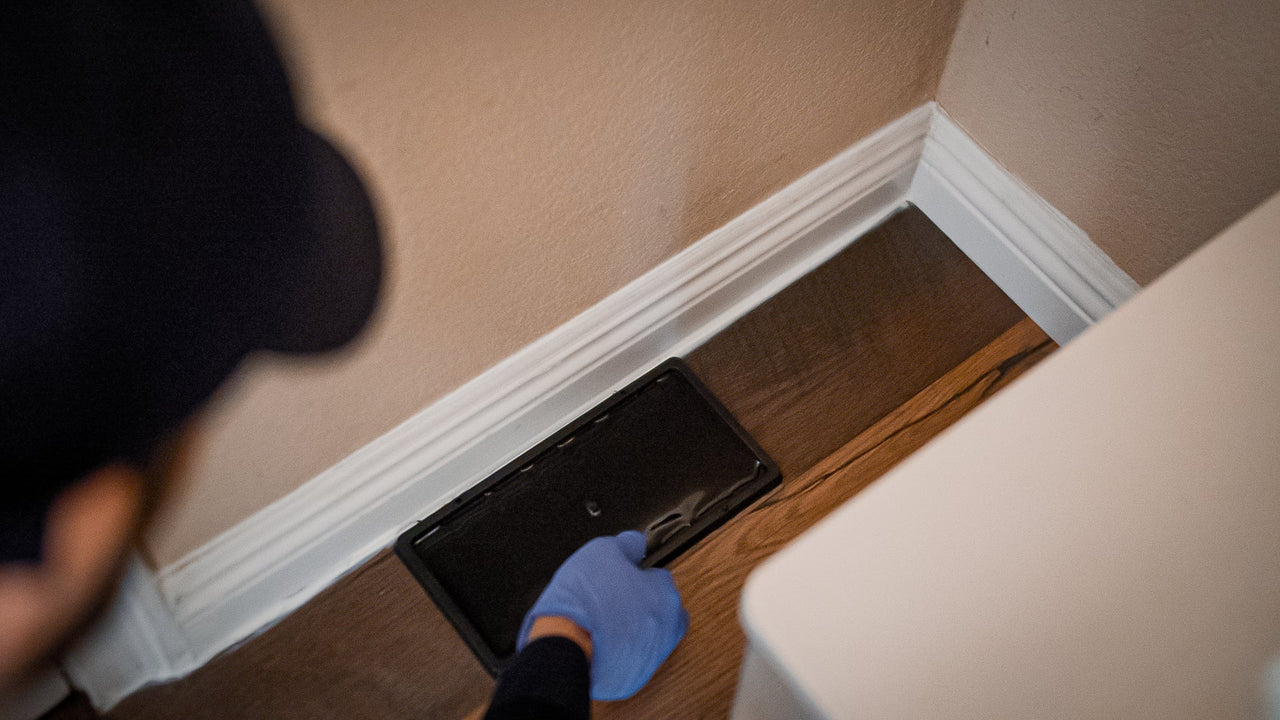 The Ultimate Guide to Using Rat Glue Traps: How to Catch and Control Rodents Effectively