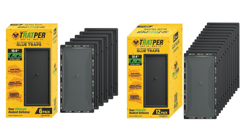 Now on Amazon: Tratper Glue Traps