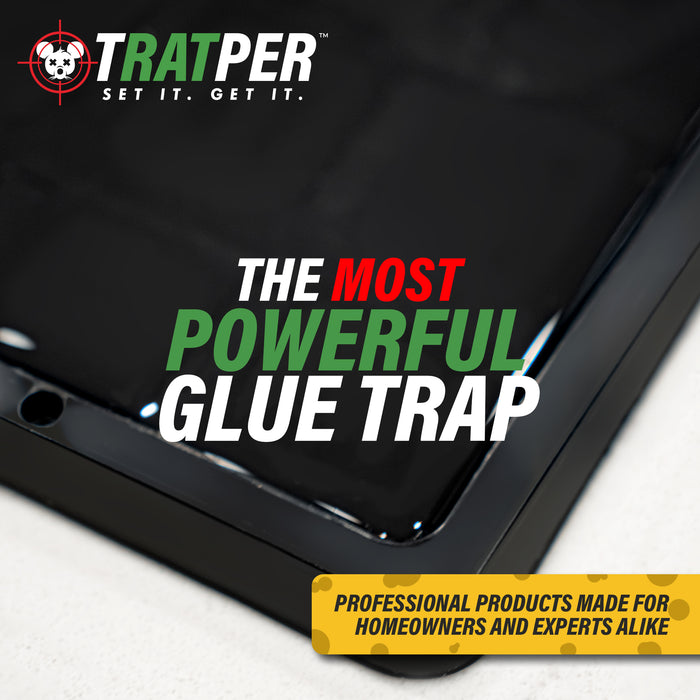 Tratper Pre-Baited Glue Trap - Bulk Case (No Returns)