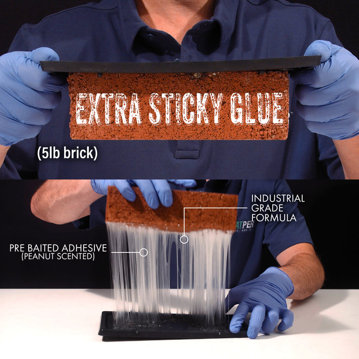Tratper Pre-Baited Glue Trap - Bulk Case (No Returns)